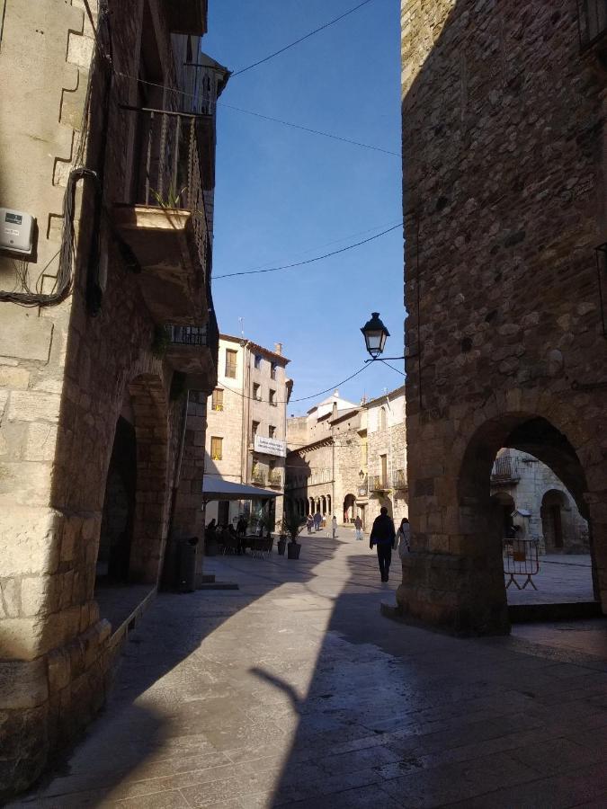 Apartament Can Mingu 2On Pis Besalú Exteriér fotografie
